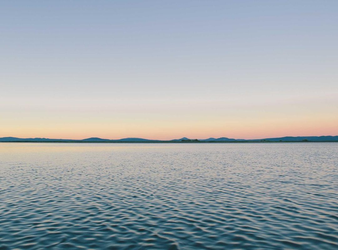 Sending Wishes with GIFs: Occasions and Messages