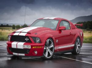 mr iconic shelby