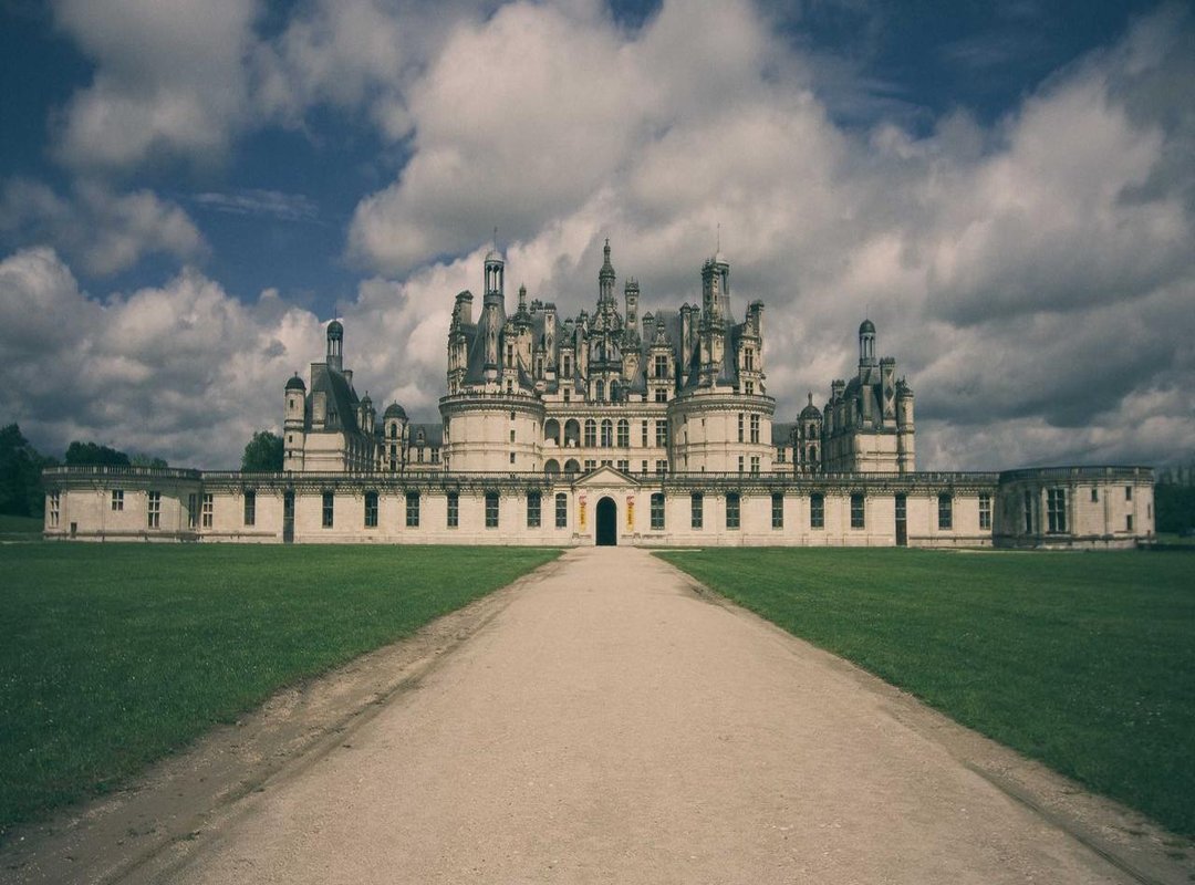 Head-to-Head: A Look at Leading Wellness Brands