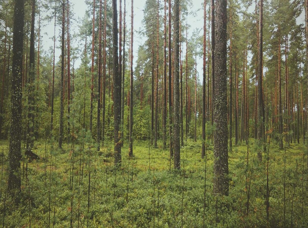 A Curated Collection: The Best TGIF Memes for Any Situation