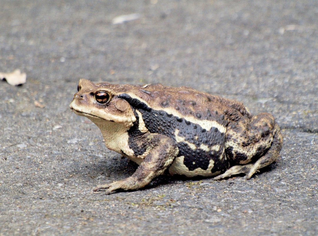 Is It Safe? Potential Risks and How to Avoid Them