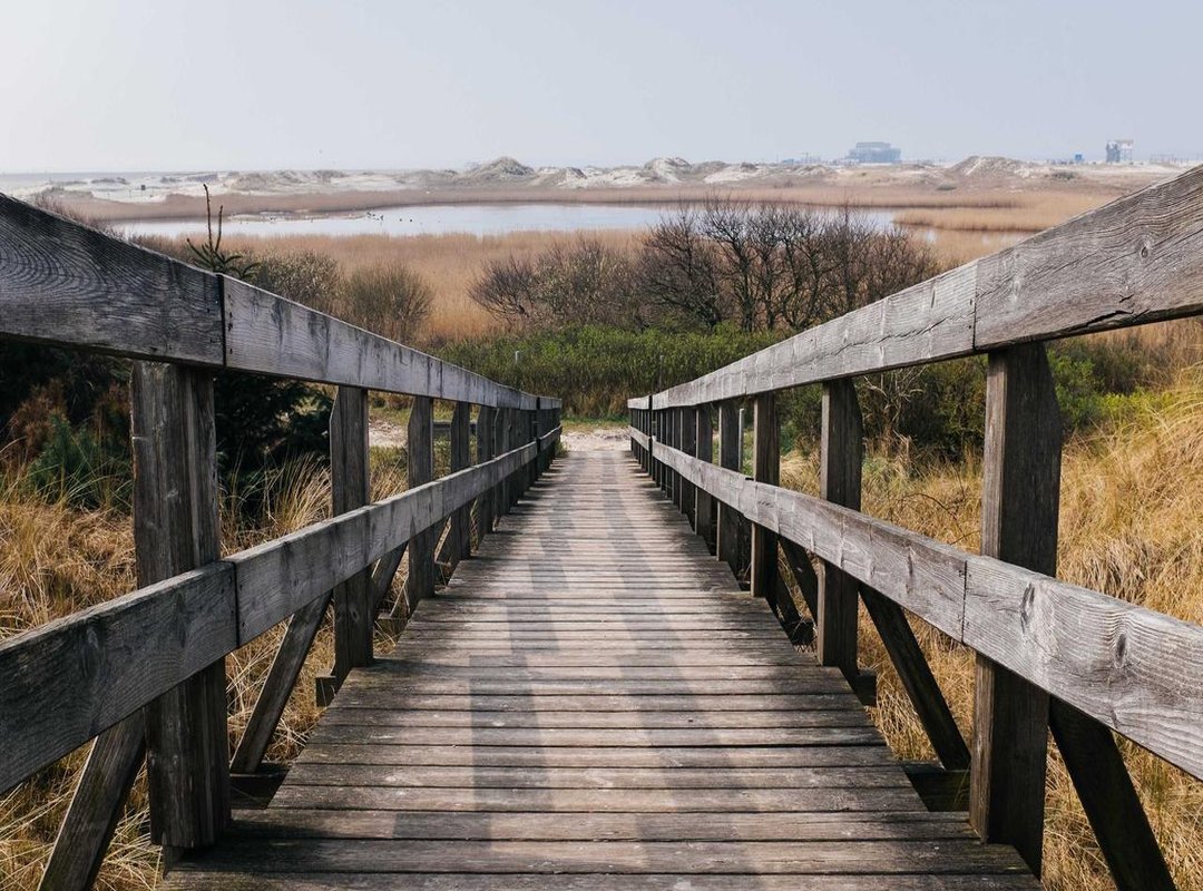 The Surgical Journey: A Breakdown of Yeri Mua's Confirmed Procedures