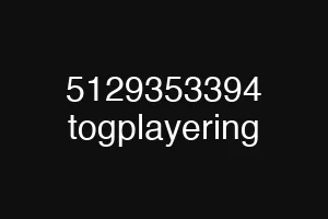 5129353394 togplayering